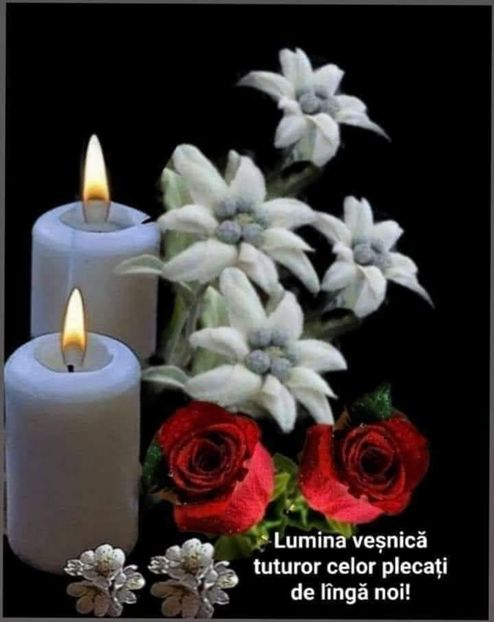 Liceenii - Liceenii 1986