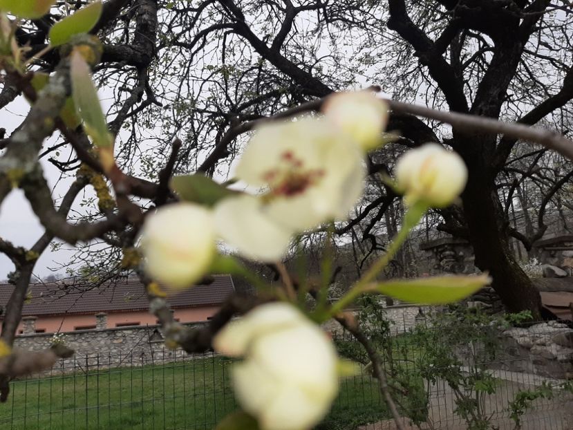  - La țară în aprilie 2021