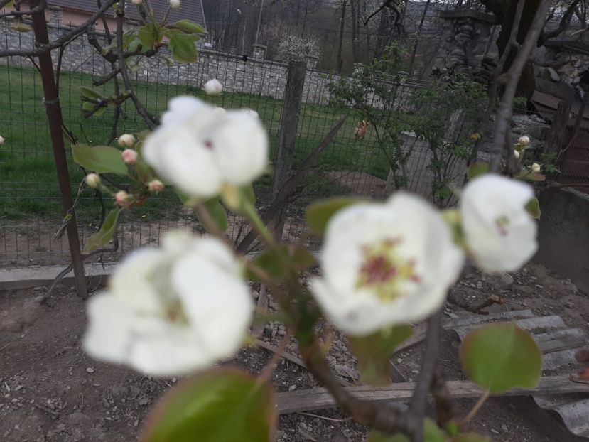  - La țară în aprilie 2021