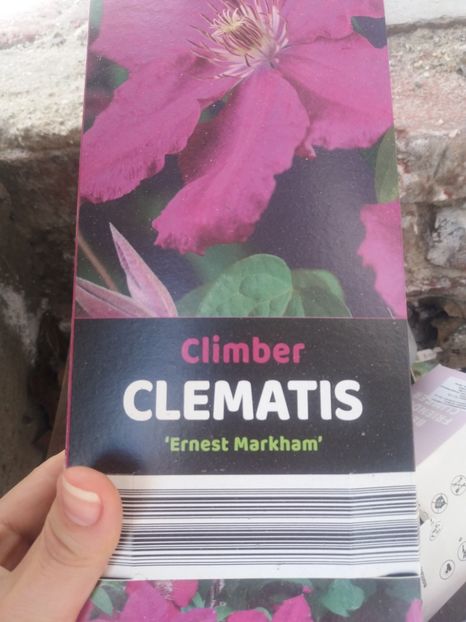 G1 - clematite