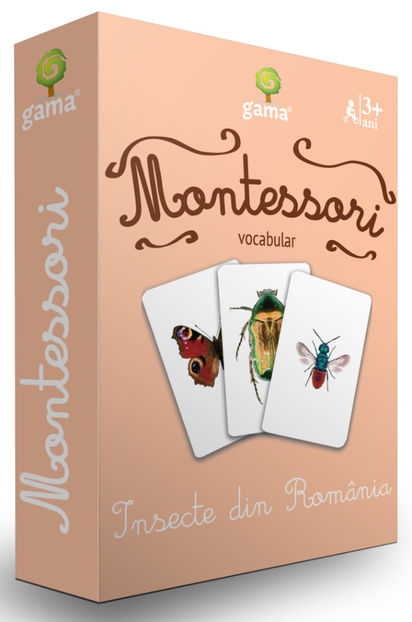 Insecte din România - Cărţi de joc Montessori 2-8 ani
