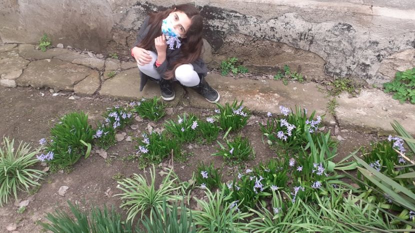  - Poze florii