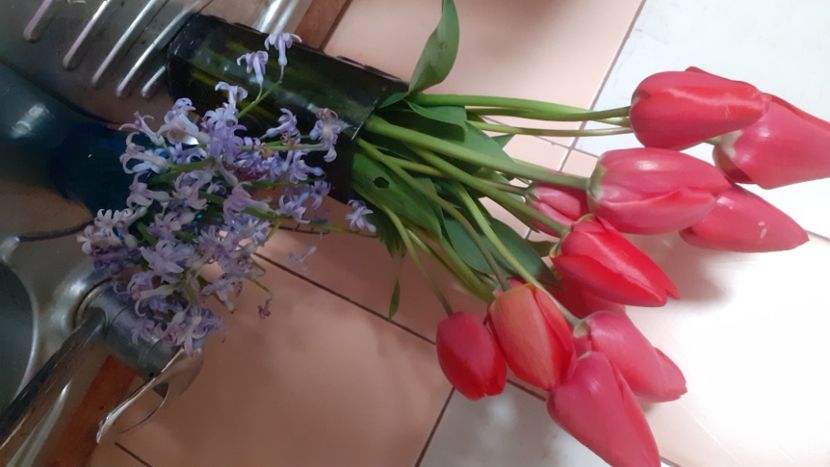  - Poze florii