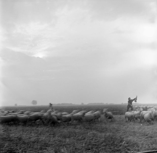 O Suta De Lei - O Suta De Lei 1973