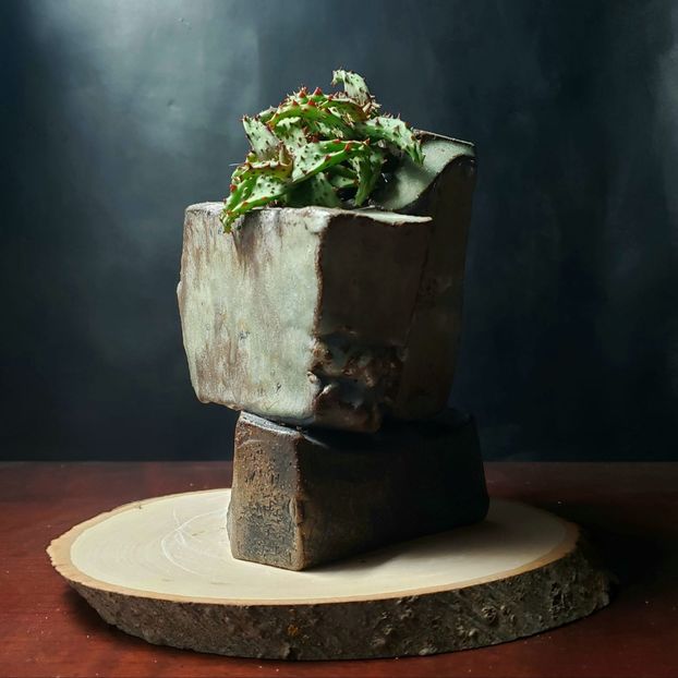 Arpino Ceramics - Aloe castilloniae - Vase - aranjamente - accesorii