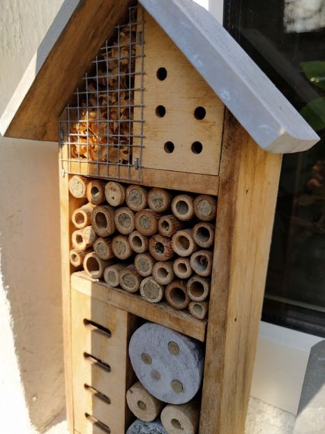 - Gradina mea 2021