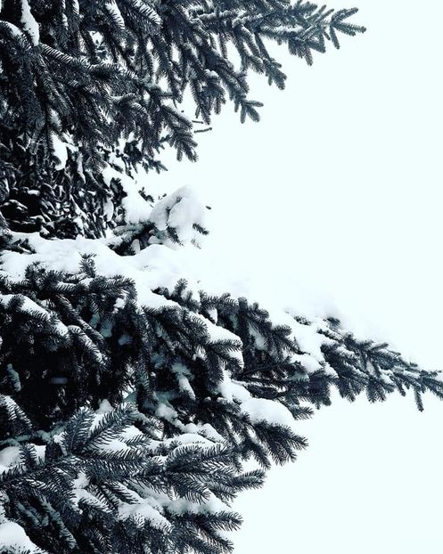 2021 - Photos 2020-2021