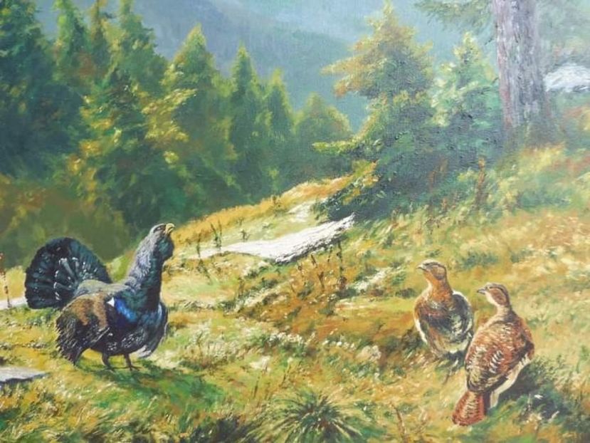  - O frumoasa si nobila pasiune