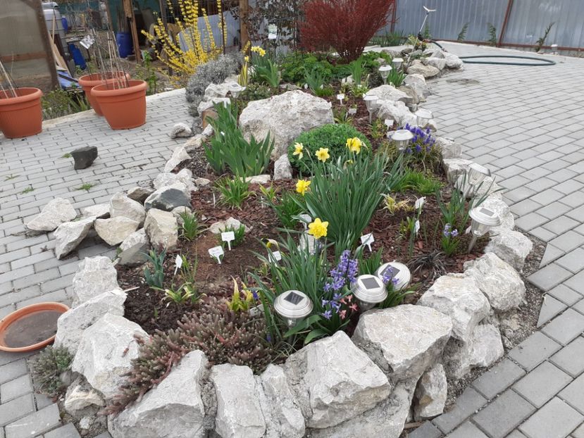  - Gradina 2021