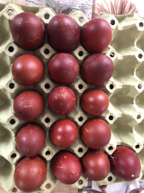 Ouă din păsări Marans culese în Aprilie 2021 - 2021 Marans NegruArămiu