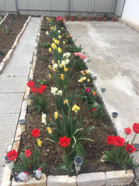 image - Primăvara 2021