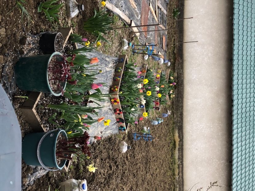 84AA7F6D-C993-4FEE-BF8C-116CD833C596 - FLORILE MELE 2021 nr 1