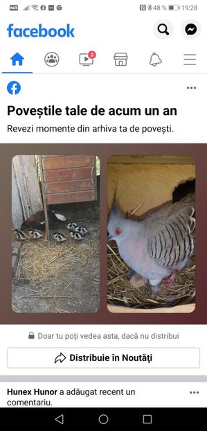 Screenshot_20210420_192827_com.facebook.katana - CONTACT