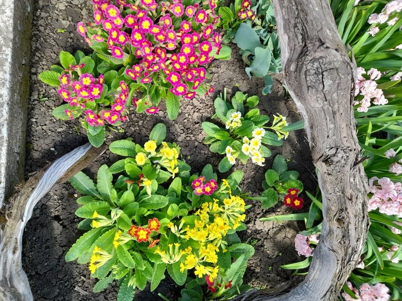  - Un nou inceput 2021