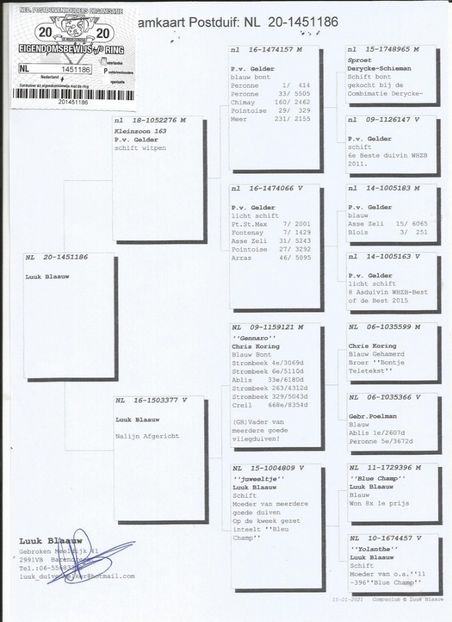 86ped - Achizitii porumbei -2021