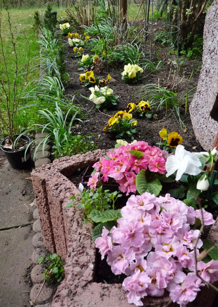  - 2021 - 01 - Primavara