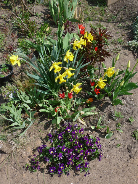  - 2021 - 01 - Primavara