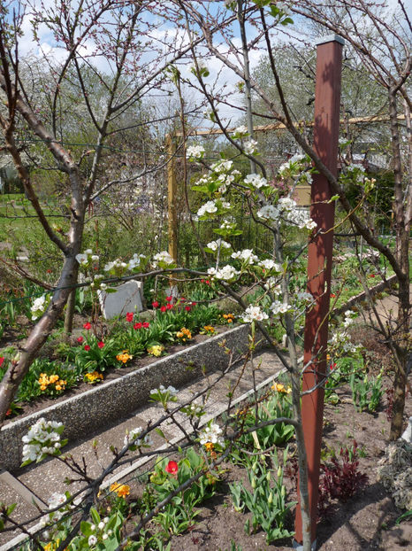  - 2021 - 01 - Primavara