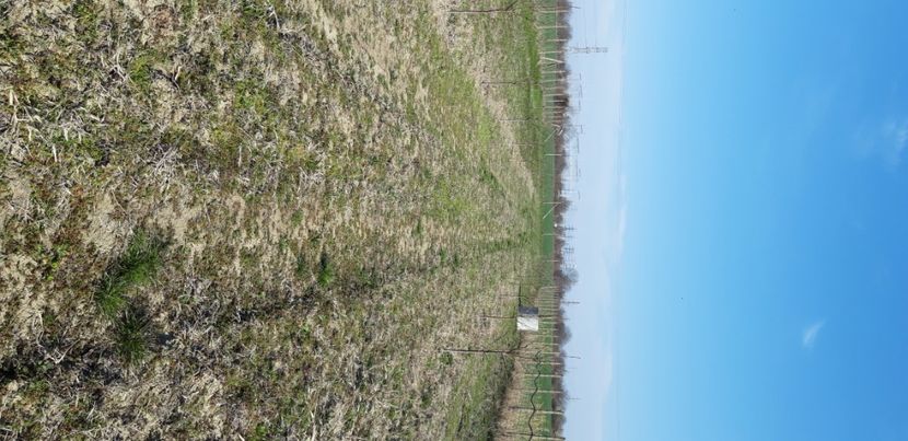  - Livada 1 anul IV 2021