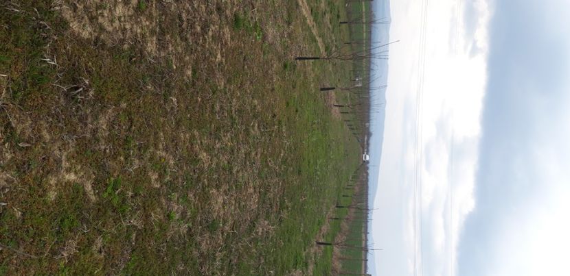  - Livada 1 anul IV 2021