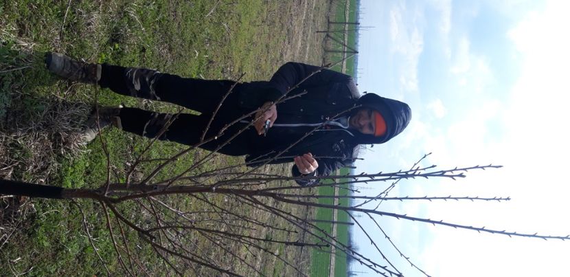  - Livada 1 anul IV 2021