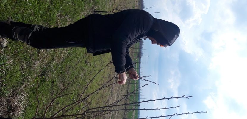  - Livada 1 anul IV 2021