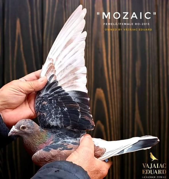  - NU IMI APARTIN ALBUM NR 2