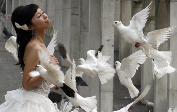 white doves