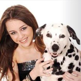 7. - miley si cainii ei