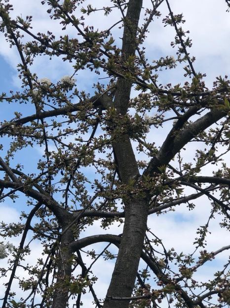 WhatsApp Image 2021-04-24 at 12.39.58 (6) - Roman 24 04 2021