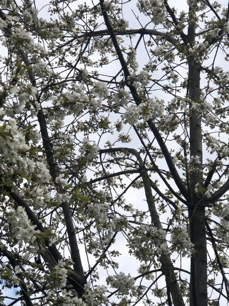 WhatsApp Image 2021-04-24 at 12.39.58 (7) - Roman 24 04 2021