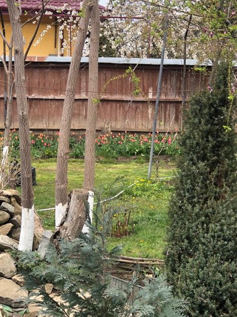 WhatsApp Image 2021-04-24 at 12.39.58 (8) - Roman 24 04 2021