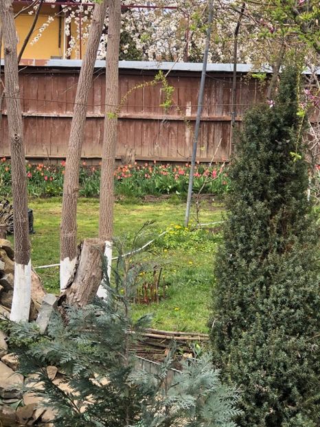 WhatsApp Image 2021-04-24 at 12.39.58 (9) - Roman 24 04 2021