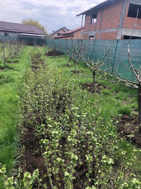 WhatsApp Image 2021-04-24 at 13.09.04 (4) - Cordun 24 04 2021