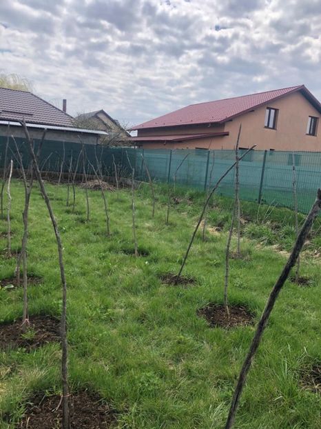 WhatsApp Image 2021-04-24 at 13.09.04 (12) - Cordun 24 04 2021