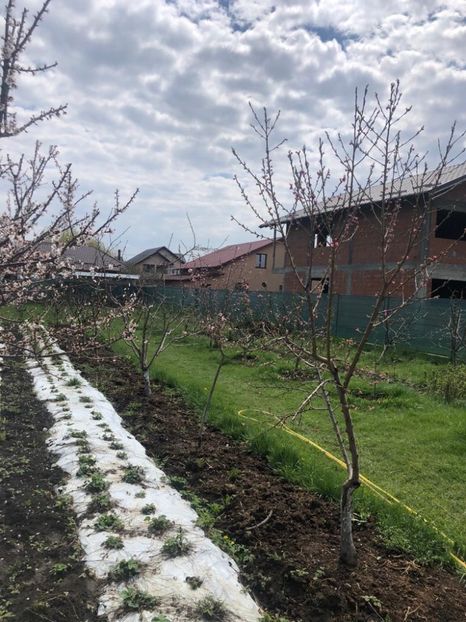 WhatsApp Image 2021-04-24 at 13.09.04 - Cordun 24 04 2021