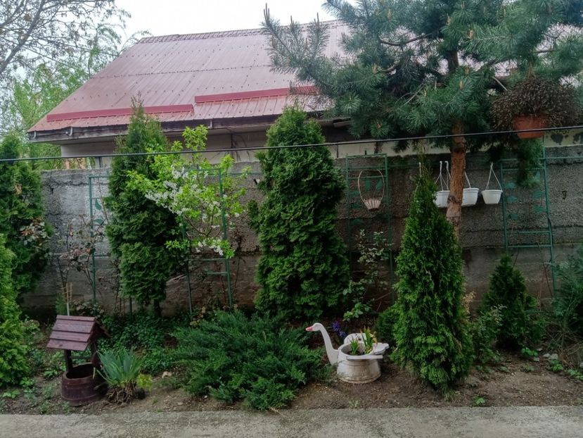  - Gratare si cuptoate din cărămidă 2020