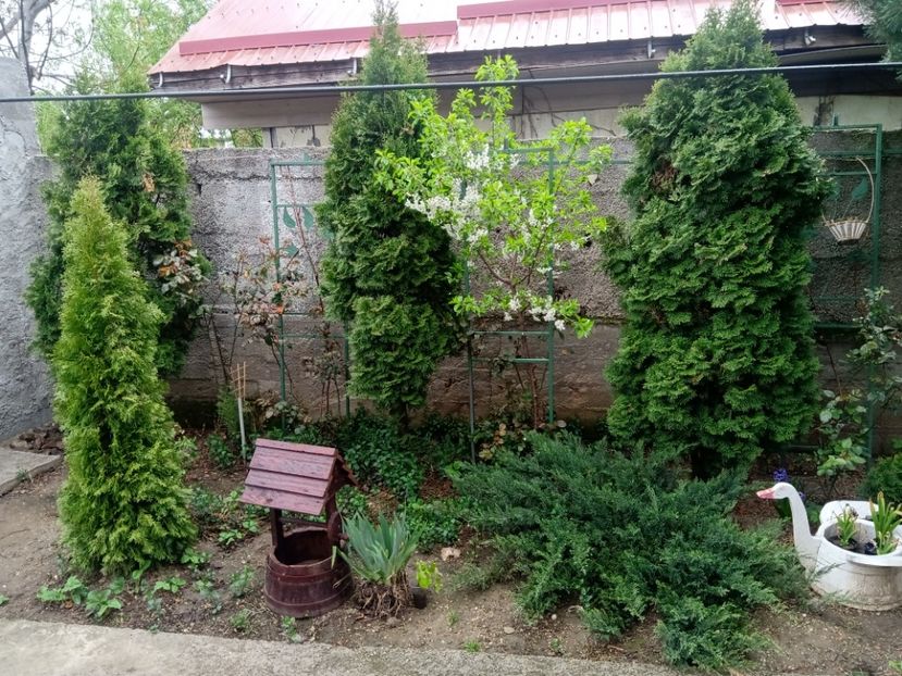  - Gratare si cuptoate din cărămidă 2020