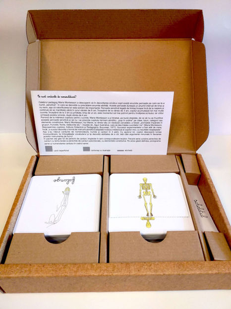 Anatomie: Sistemul osos • Sistemul nervos - Lecţii Montessori 3 - 15 ani