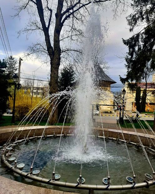  - Primăvara 2021