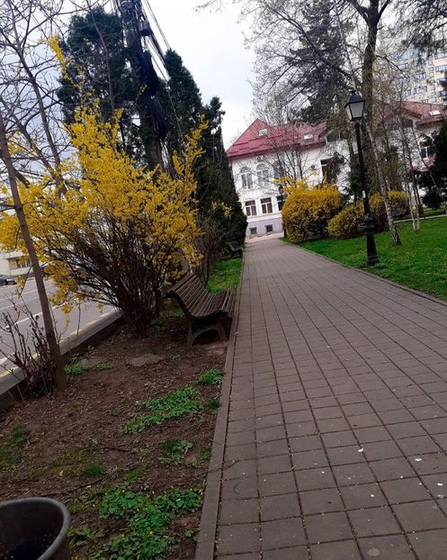  - Primăvara 2021