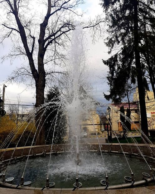 - Primăvara 2021