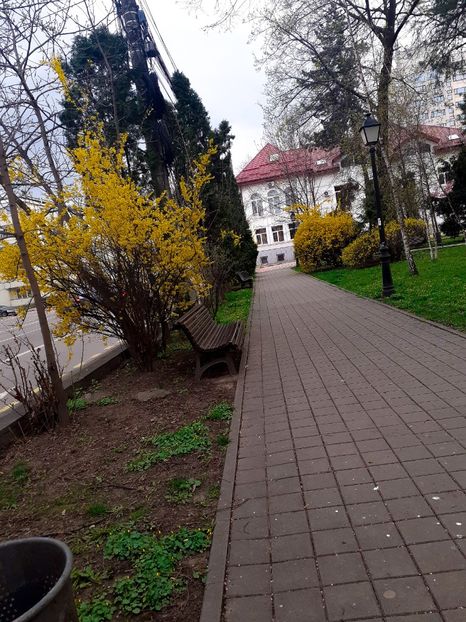 PSX_20210424_232447 - Primăvara 2021