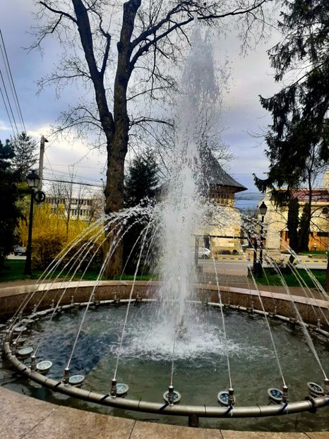 PSX_20210424_231740 - Primăvara 2021