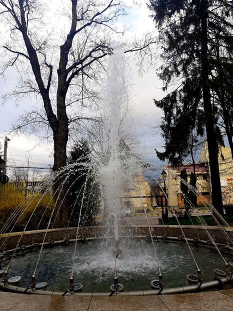 PSX_20210424_231716 - Primăvara 2021