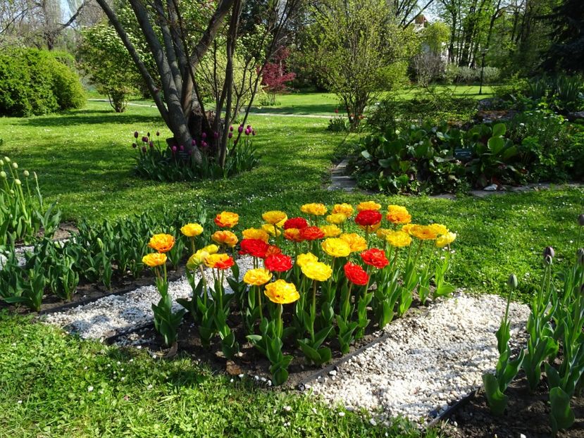  - Gradina Botanica de Florii Bucuresti 2021