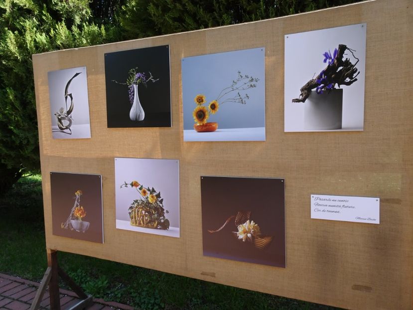  - Gradina Botanica de Florii Bucuresti 2021