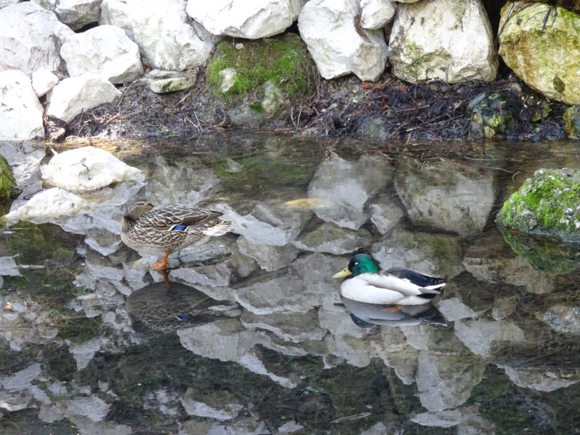  - Gradina Botanica de Florii Bucuresti 2021