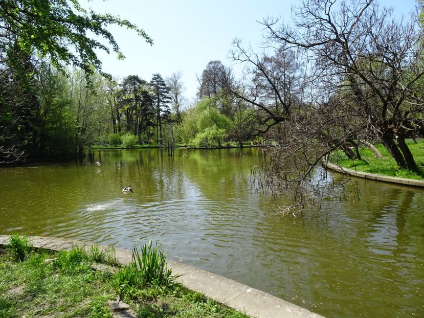  - Gradina Botanica de Florii Bucuresti 2021