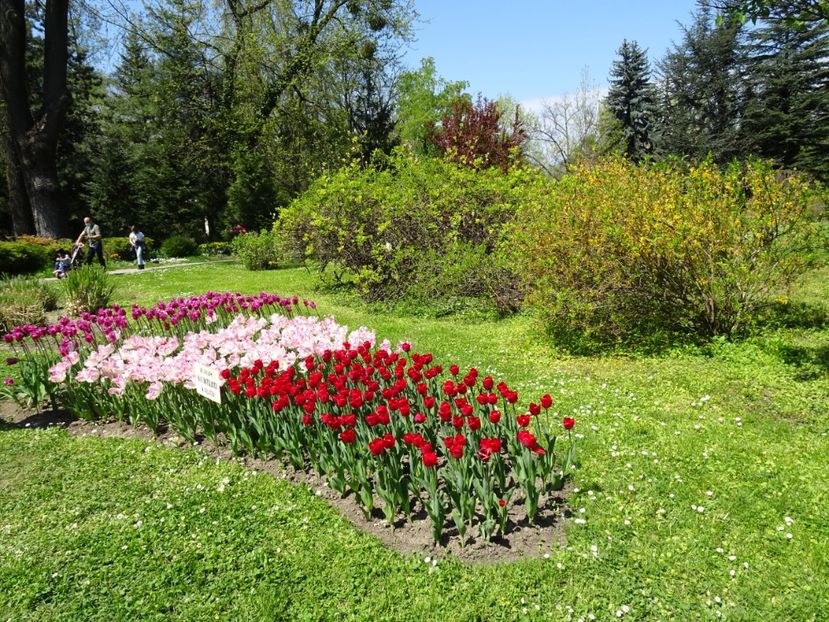  - Gradina Botanica de Florii Bucuresti 2021